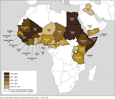 Afbeelding in het Publieke Domein op 22 juni 2026 opgevraagd van https://commons.wikimedia.org/wiki/File:Figure_1-_Percentages_of_Girls_and_Women_Aged_15_to_49_Who_Have_Undergone_Female_Genital_Mutilation-Cutting_(FGM-C)_in_High-Prevalence_Countries,_2004%E2%80%932015_(27172657301).jpg?uselang=nl