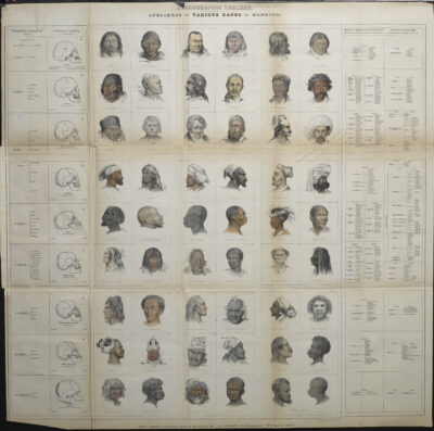 Afbeelding in het Publieke Domein op 21 juni 2026 opgevraagd van https://commons.wikimedia.org/wiki/File:Nott%27s_1857_%22Ethnographic_Tableau._Specimens_of_Various_Races_of_Mankind%22.jpg?uselang=de