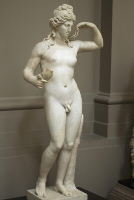 Afbeelding in het Publieke Domein op 15 juni 2026 opgevraagd van https://commons.wikimedia.org/wiki/File:Hermaphroditus_lady_lever.jpg?uselang=en#Licensing